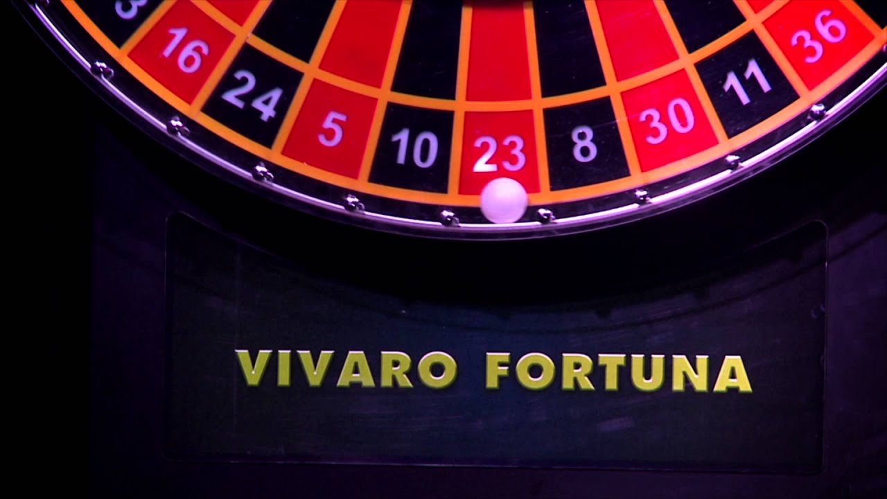 Vivaro казино
